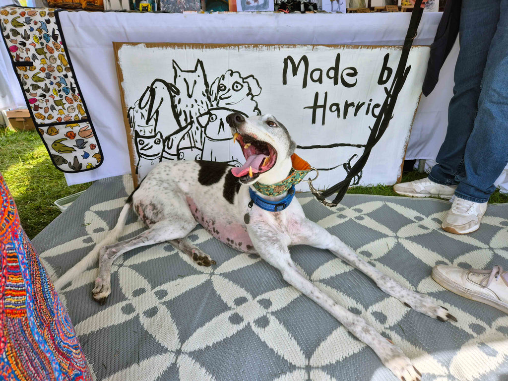Our first ever dog festival - here's how it went!