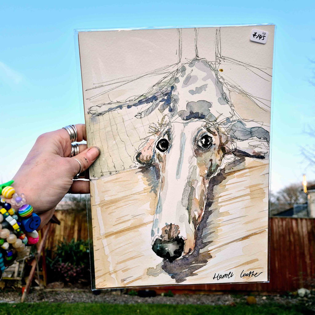 A hand holds up a watercolor and ink painting of a greyhound lying down with its head stretched forward, resting on the floor. The greyhound has a white coat with grey patches and large, soulful eyes. The painting captures a relaxed, endearing pose with delicate linework and soft, earthy tones. It's signed by artist Harriet Lowther and priced at £145. In the background, there's a garden scene with a wooden fence and a clear blue sky. The person holding the artwork wears colorful beaded bracelets and silver 