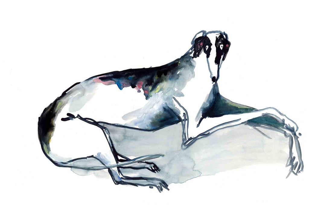 Expressive watercolor and ink painting of a reclining greyhound with abstract brushstrokes in shades of black, blue, and subtle hints of pink. The dog’s gaze is calm and elegant, capturing the breed’s graceful and slender form. The fluid lines and loose style add a dynamic, artistic touch to the composition