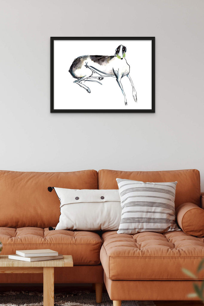 Black and white greyhound drawing laying down with green collar, print in bold black frame above orange sofa