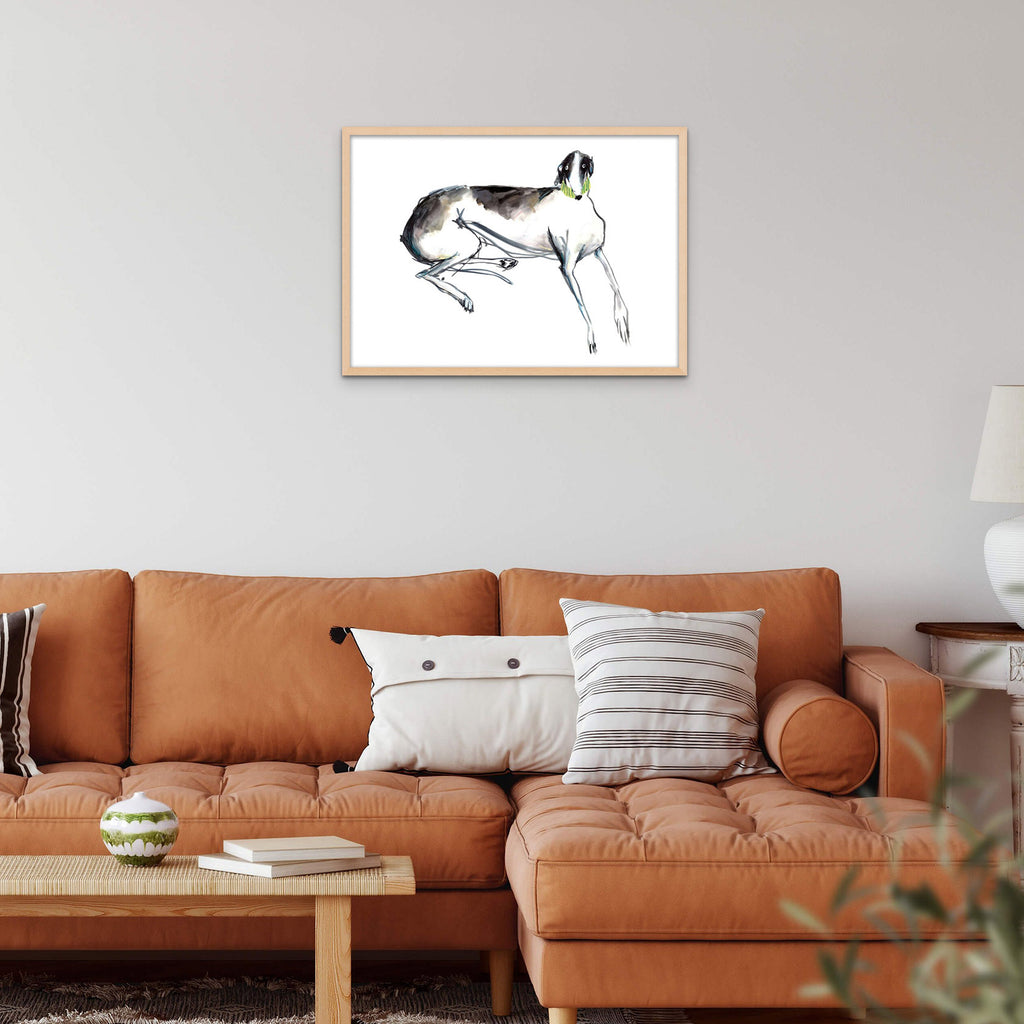 Hand drawn black and white greyhound/sighthound laying down with green collar, light coloured wooden frame on wall above orange sofa