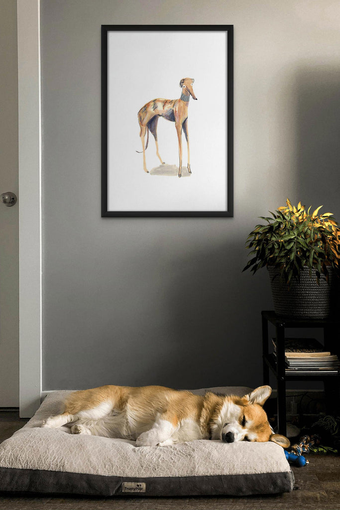 Black framed sighthound dog print on wall above sleeping corgi