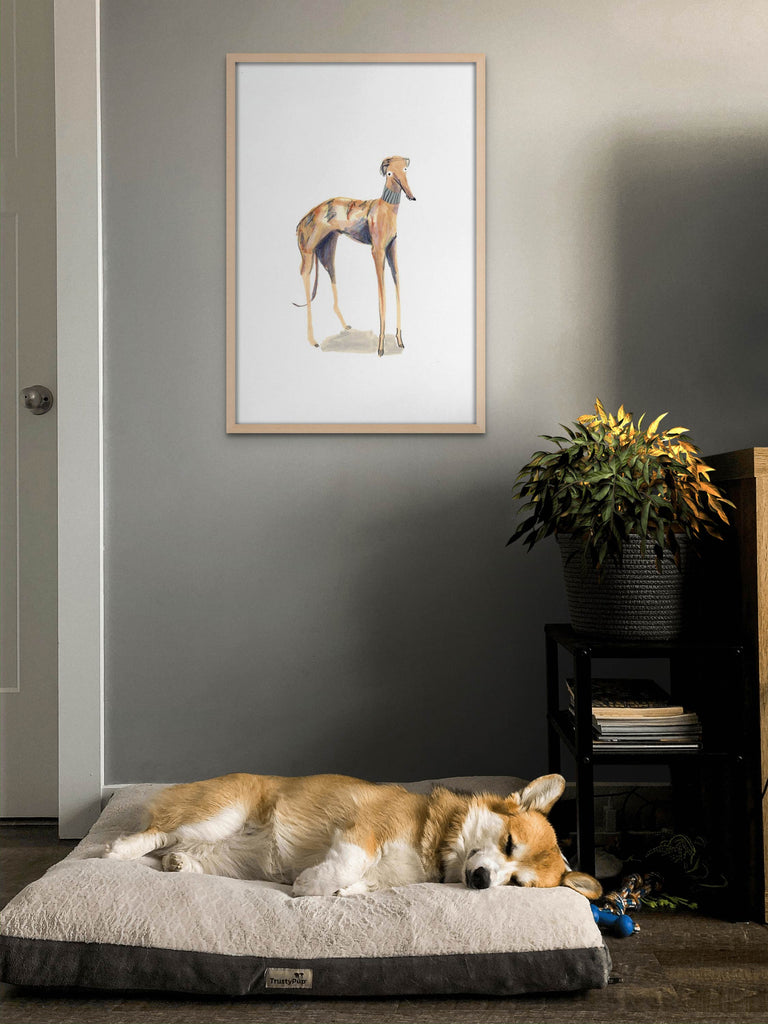 Wood framed sighthound dog print on wall above sleeping corgi