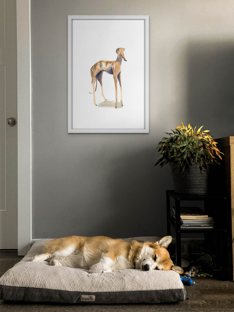 White framed sighthound/greyhound dog print on wall above sleeping corgi