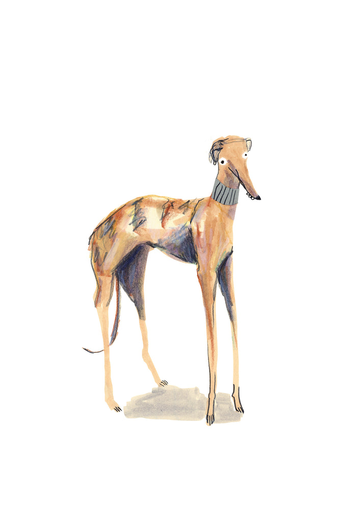 Brindle coloured greyhound/sighthound print on white background with green collar and teeth poking out